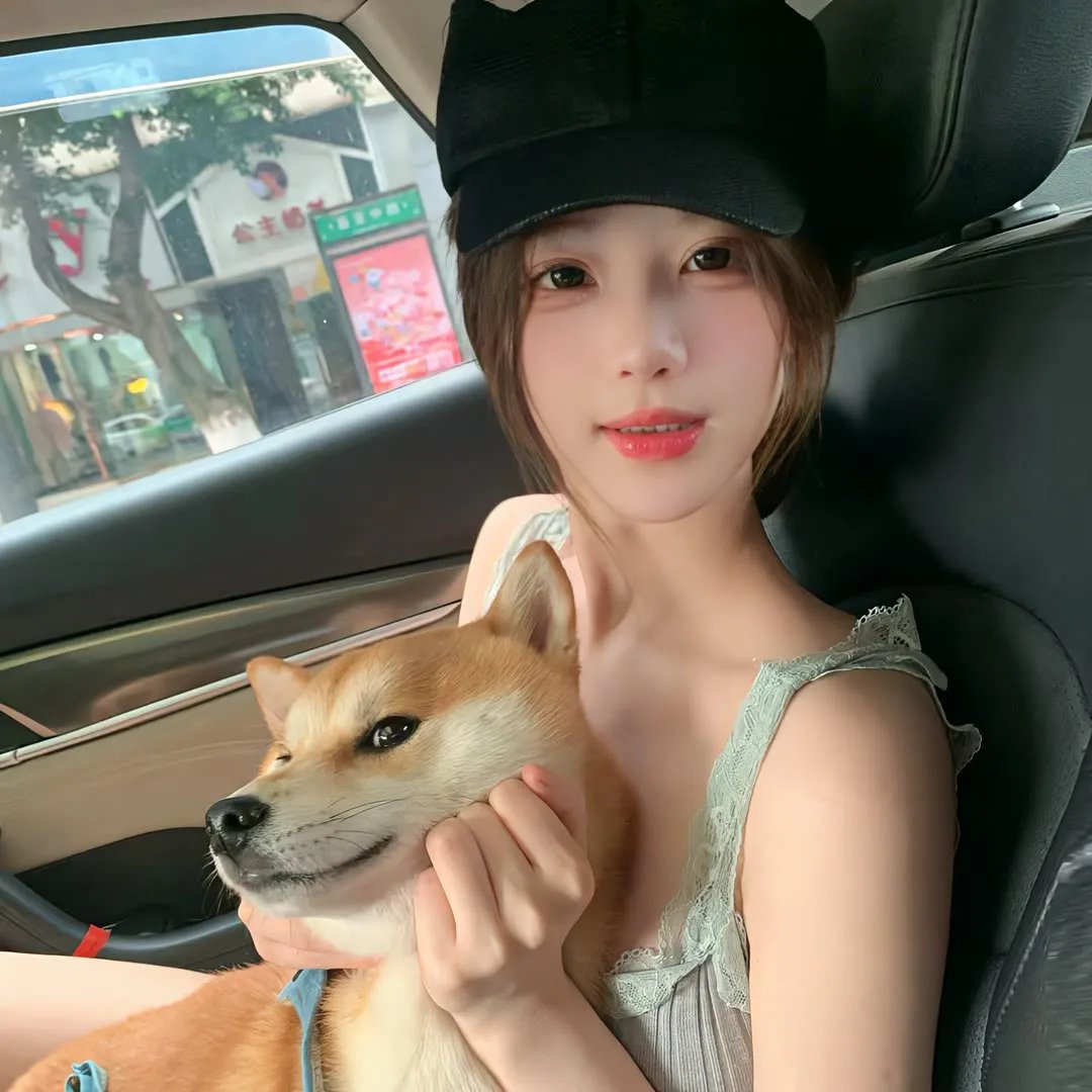 波尔卡的猪
